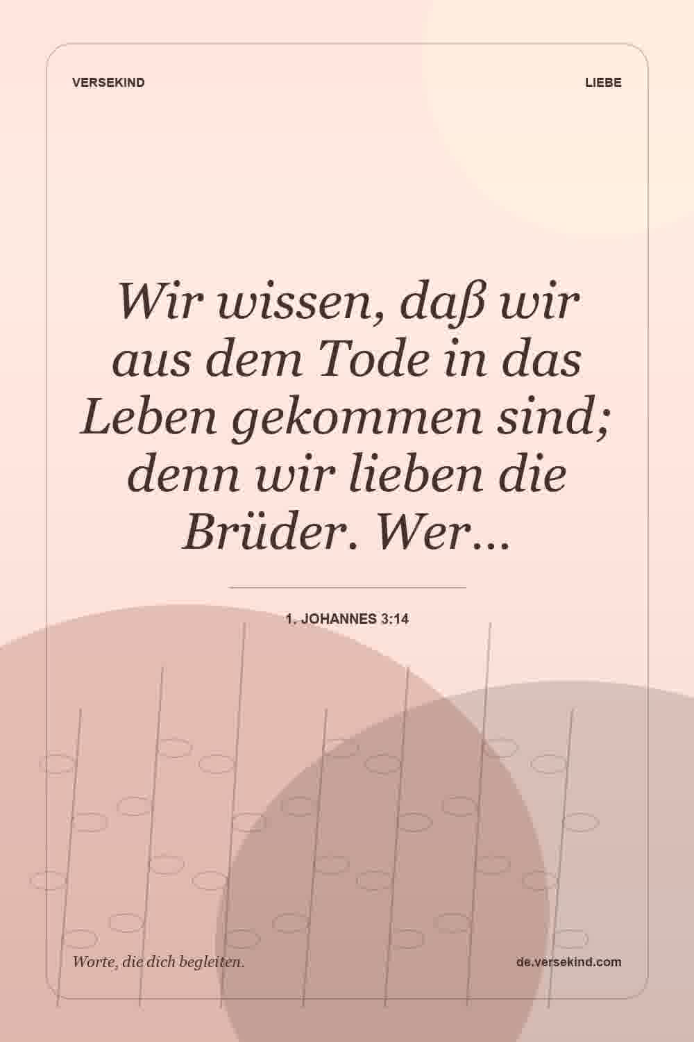 Wir wissen, daß wir aus dem Tode in das Leben gekommen sind; denn wir lieben die Brüder. Wer… — 1. Johannes 3:14