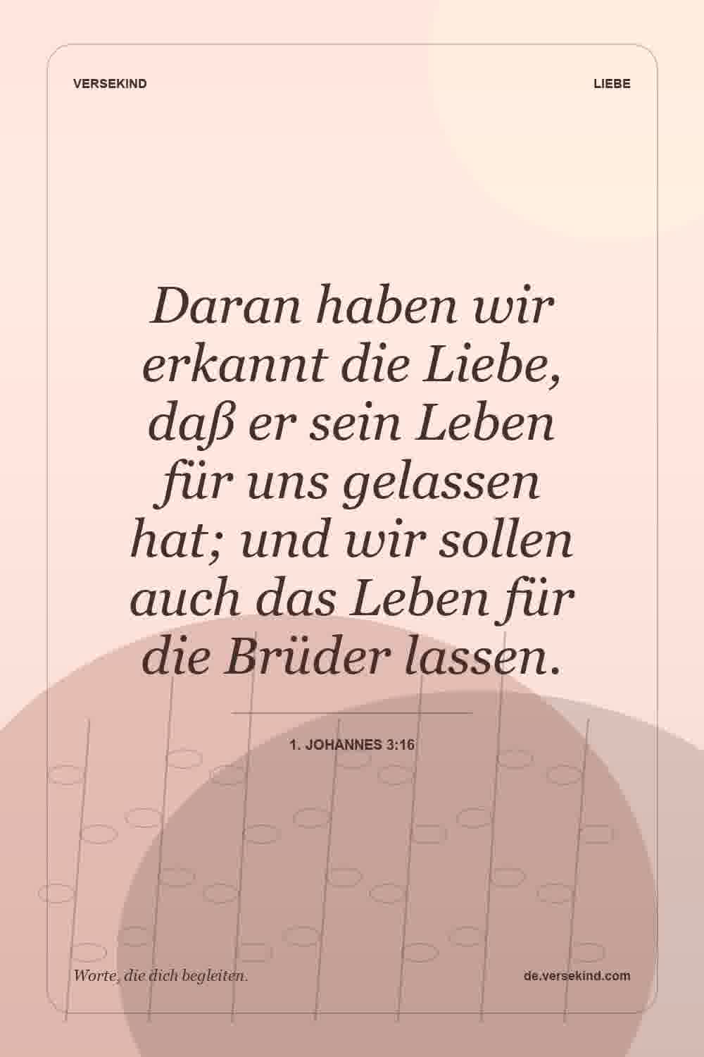 Daran haben wir erkannt die Liebe, daß er sein Leben für uns gelassen hat; und wir sollen auch das Leben für die Brüder lassen. — 1. Johannes 3:16