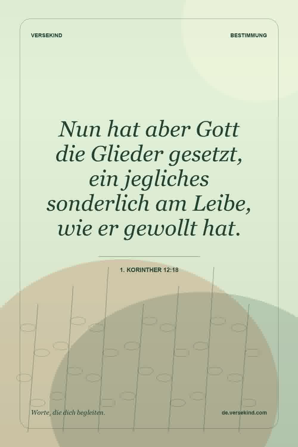 Nun hat aber Gott die Glieder gesetzt, ein jegliches sonderlich am Leibe, wie er gewollt hat. — 1. Korinther 12:18