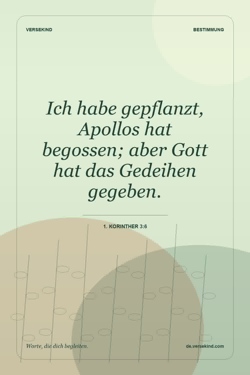 Ich habe gepflanzt, Apollos hat begossen; aber Gott hat das Gedeihen gegeben. — 1. Korinther 3:6
