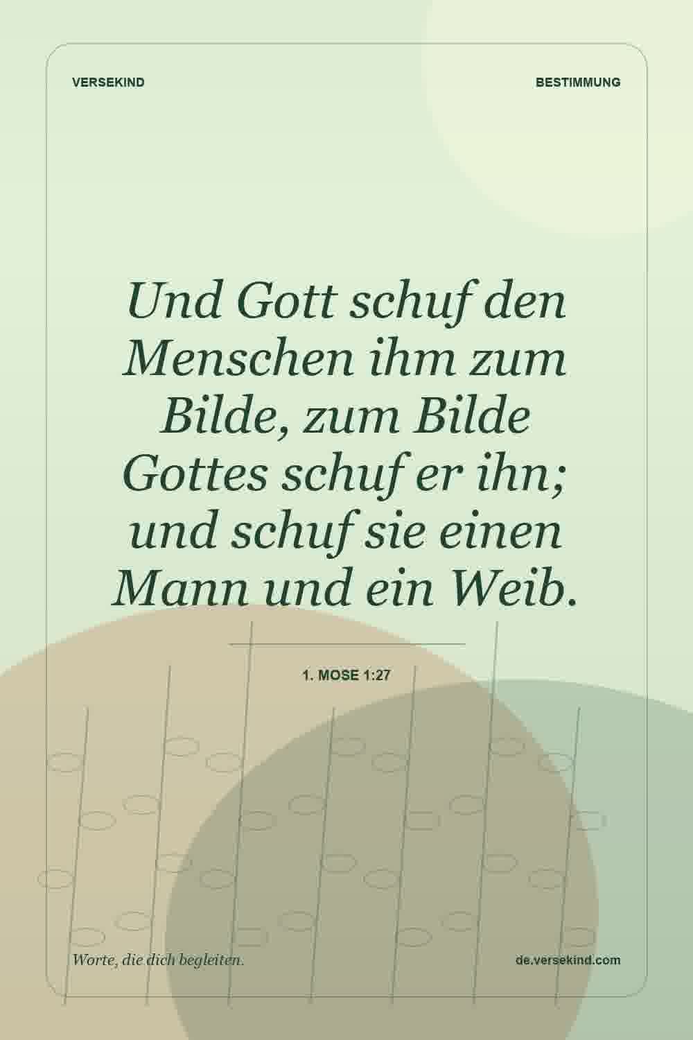 Und Gott schuf den Menschen ihm zum Bilde, zum Bilde Gottes schuf er ihn; und schuf sie einen Mann und ein Weib. — 1. Mose 1:27