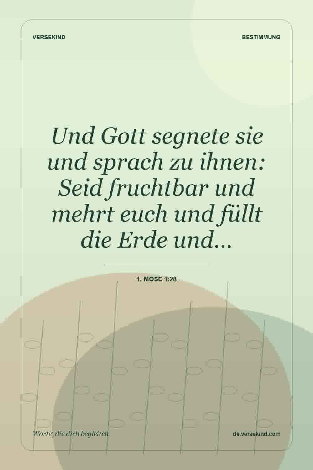 Und Gott segnete sie und sprach zu ihnen: Seid fruchtbar und mehrt euch und füllt die Erde und… — 1. Mose 1:28