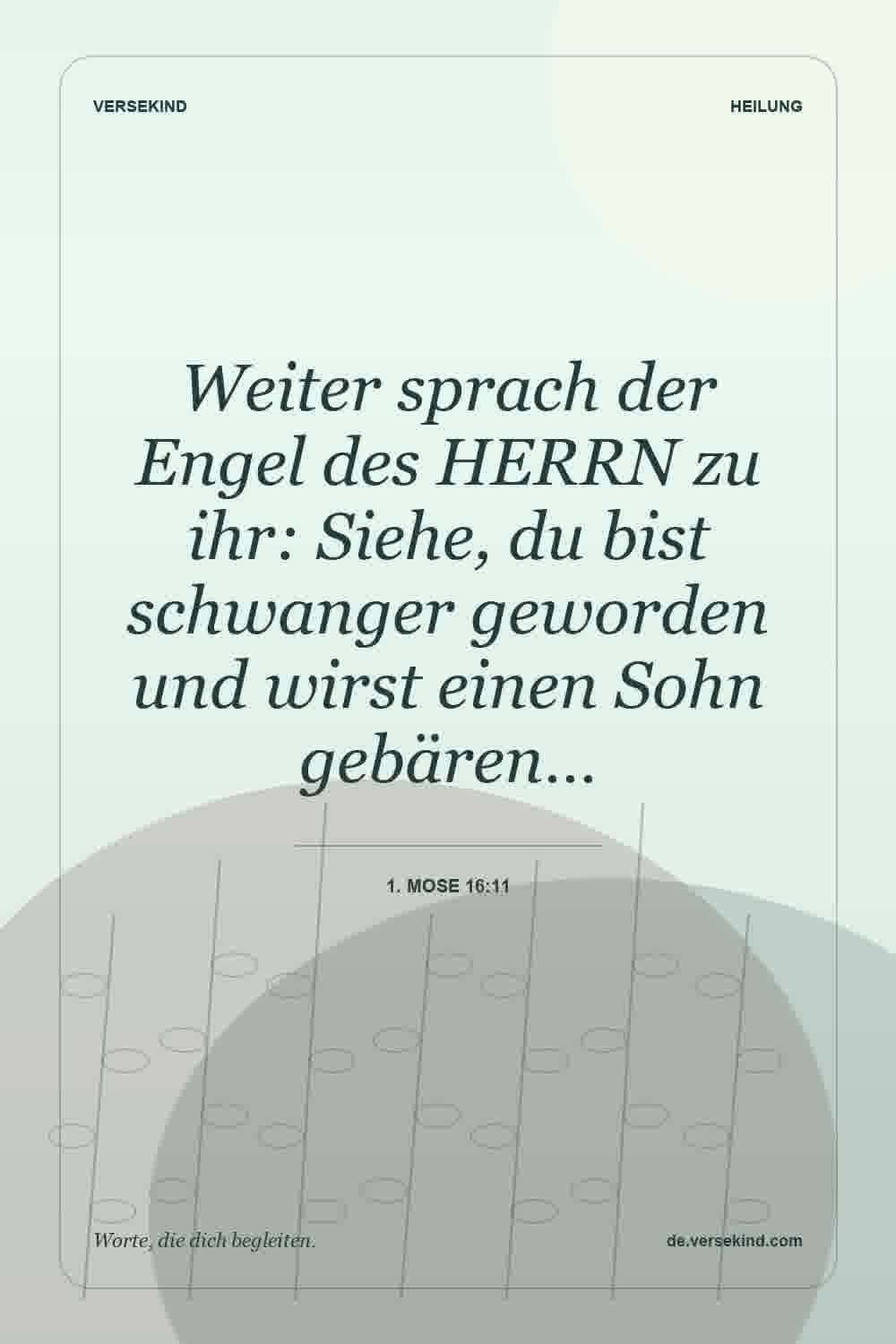 Weiter sprach der Engel des HERRN zu ihr: Siehe, du bist schwanger geworden und wirst einen Sohn gebären… — 1. Mose 16:11