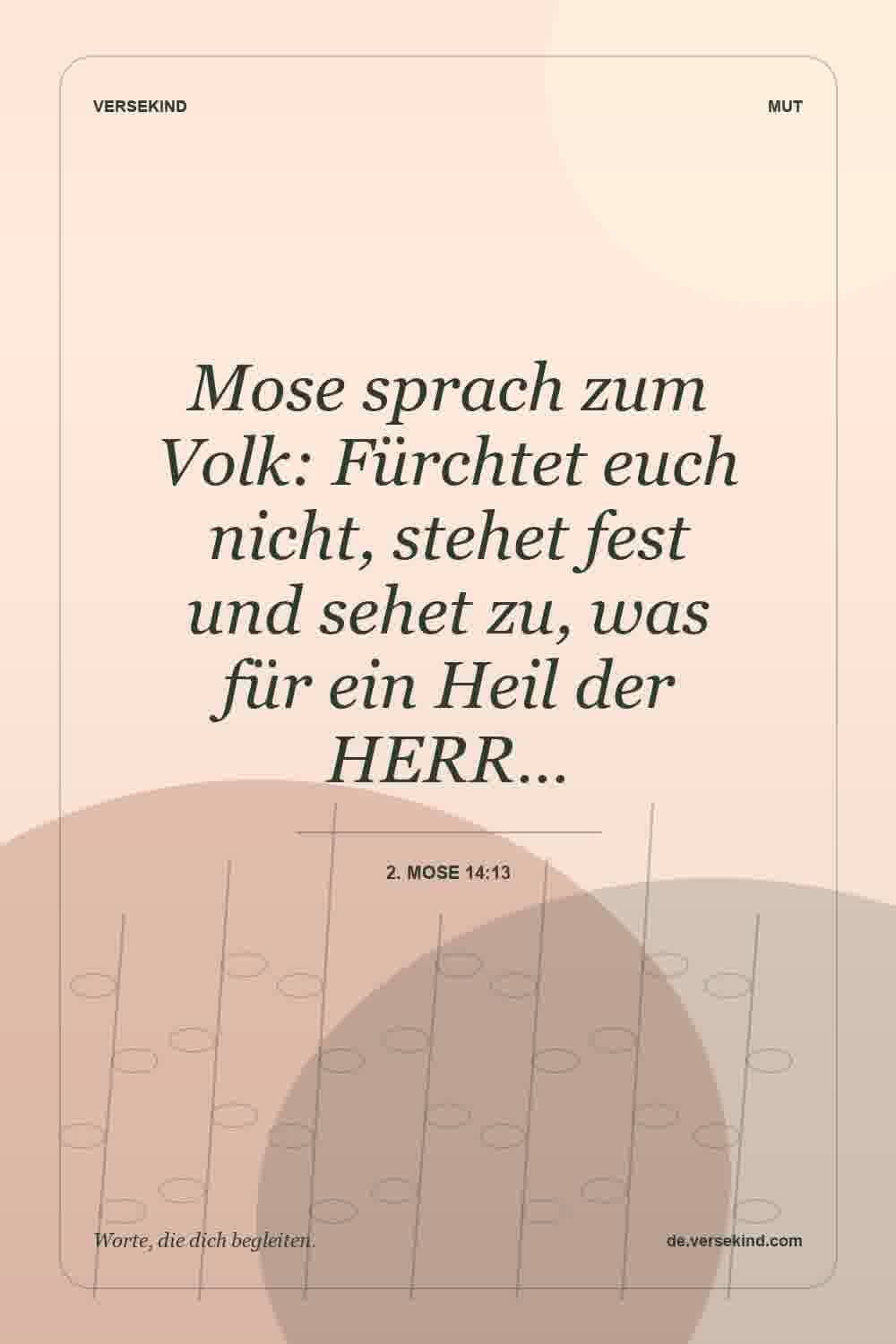Mose sprach zum Volk: Fürchtet euch nicht, stehet fest und sehet zu, was für ein Heil der HERR… — 2. Mose 14:13