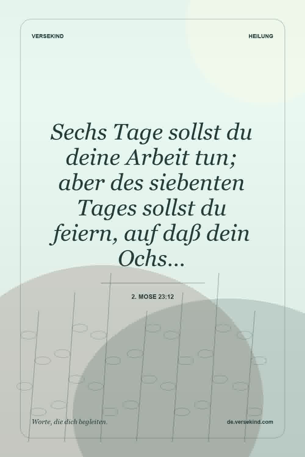 Sechs Tage sollst du deine Arbeit tun; aber des siebenten Tages sollst du feiern, auf daß dein Ochs… — 2. Mose 23:12