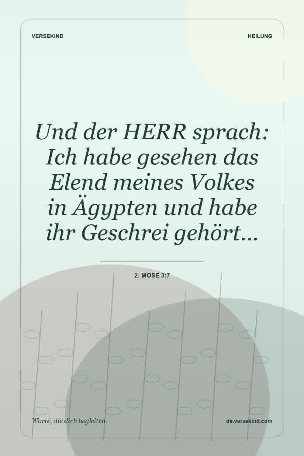 Und der HERR sprach: Ich habe gesehen das Elend meines Volkes in Ägypten und habe ihr Geschrei gehört… — 2. Mose 3:7