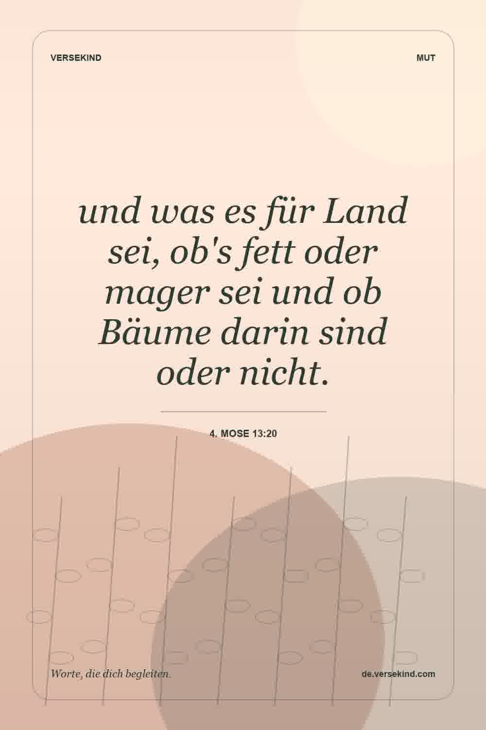 und was es für Land sei, ob's fett oder mager sei und ob Bäume darin sind oder nicht. — 4. Mose 13:20
