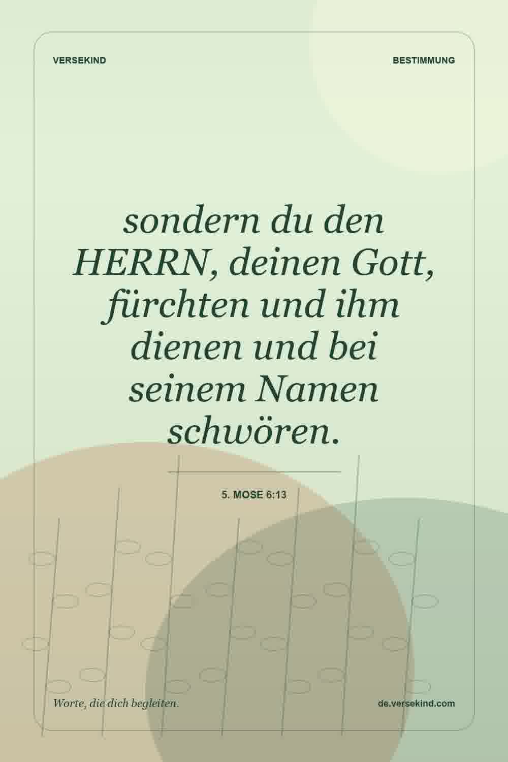 sondern du den HERRN, deinen Gott, fürchten und ihm dienen und bei seinem Namen schwören. — 5. Mose 6:13