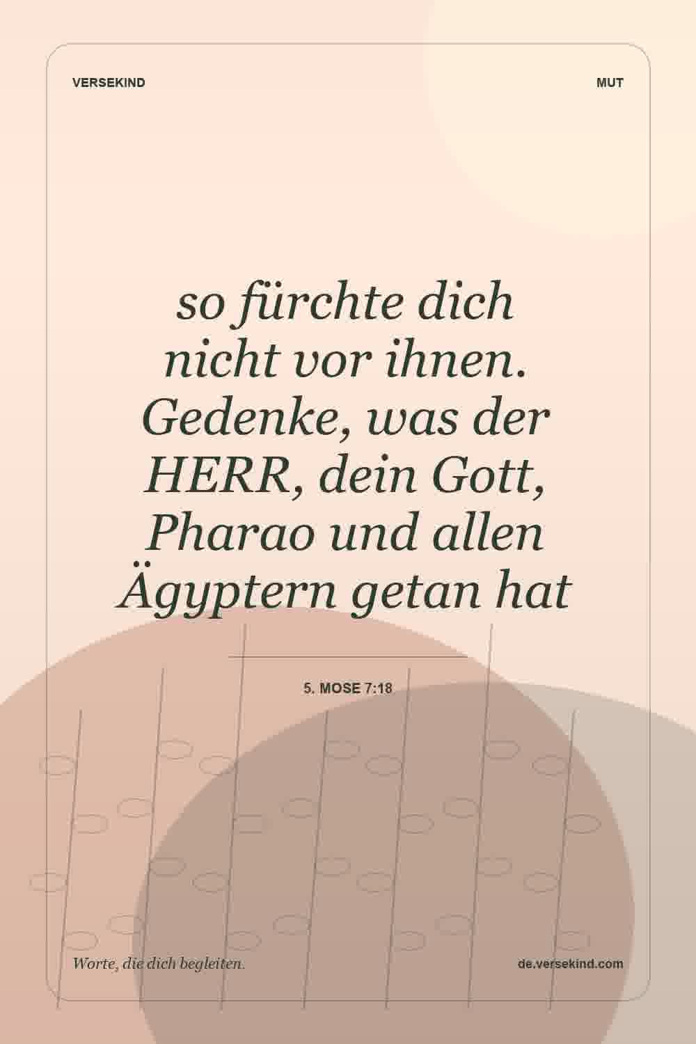 so fürchte dich nicht vor ihnen. Gedenke, was der HERR, dein Gott, Pharao und allen Ägyptern getan hat — 5. Mose 7:18