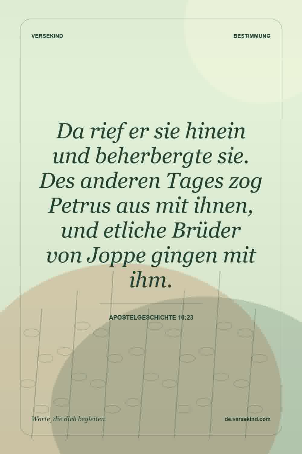 Da rief er sie hinein und beherbergte sie. Des anderen Tages zog Petrus aus mit ihnen, und etliche Brüder von Joppe gingen mit ihm. — Apostelgeschichte 10:23