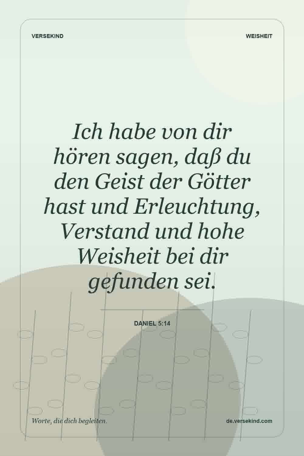 Ich habe von dir hören sagen, daß du den Geist der Götter hast und Erleuchtung, Verstand und hohe Weisheit bei dir gefunden sei. — Daniel 5:14