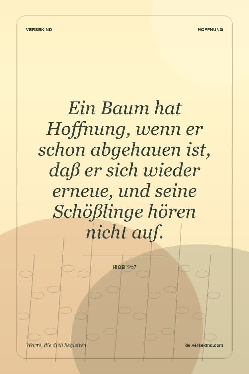 Ein Baum hat Hoffnung, wenn er schon abgehauen ist, daß er sich wieder erneue, und seine Schößlinge hören nicht auf. — Hiob 14:7