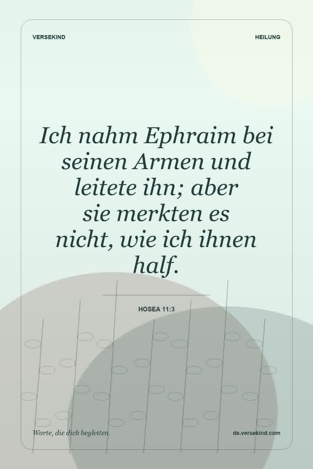 Ich nahm Ephraim bei seinen Armen und leitete ihn; aber sie merkten es nicht, wie ich ihnen half. — Hosea 11:3