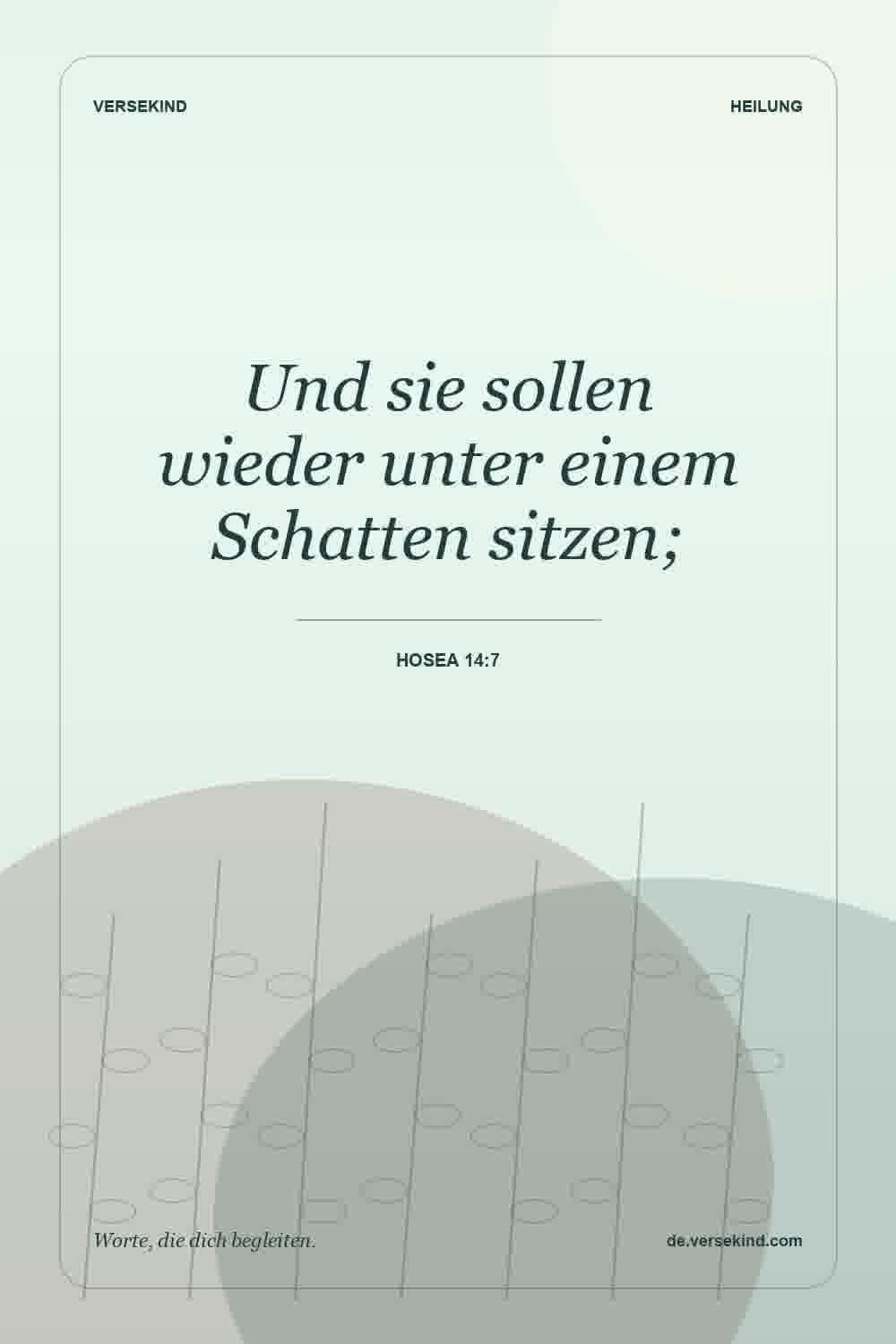 Und sie sollen wieder unter einem Schatten sitzen; — Hosea 14:7