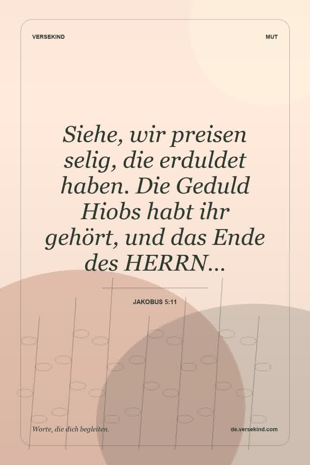 Siehe, wir preisen selig, die erduldet haben. Die Geduld Hiobs habt ihr gehört, und das Ende des HERRN… — Jakobus 5:11
