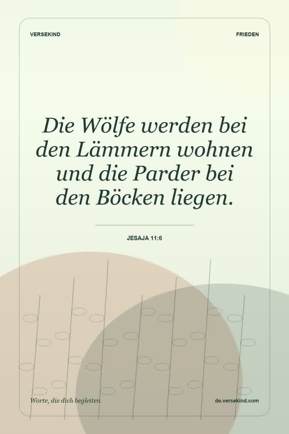 Die Wölfe werden bei den Lämmern wohnen und die Parder bei den Böcken liegen. — Jesaja 11:6