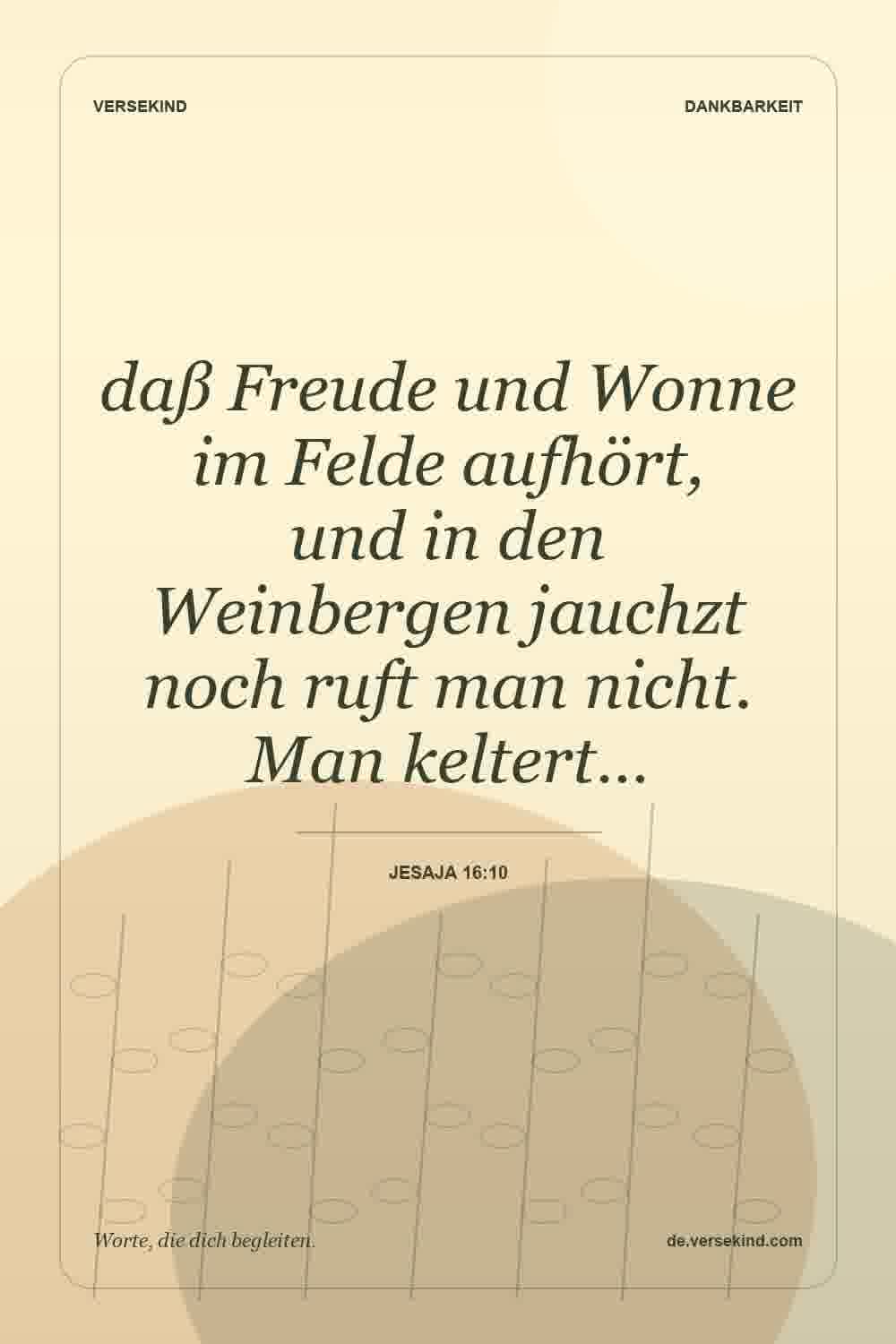 daß Freude und Wonne im Felde aufhört, und in den Weinbergen jauchzt noch ruft man nicht. Man keltert… — Jesaja 16:10
