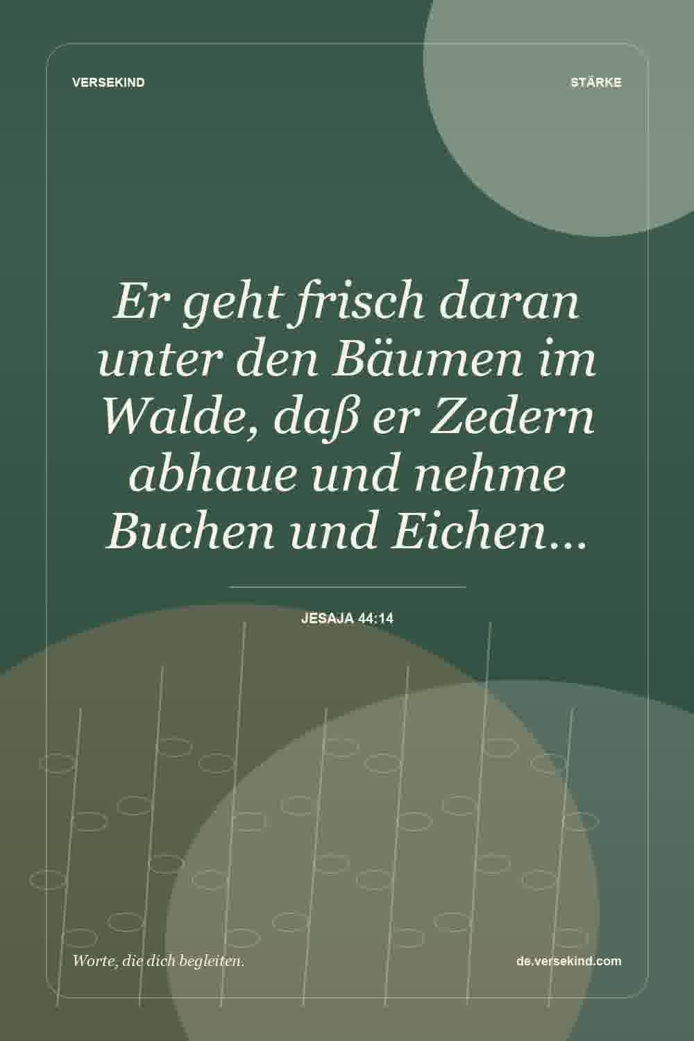 Er geht frisch daran unter den Bäumen im Walde, daß er Zedern abhaue und nehme Buchen und Eichen… — Jesaja 44:14