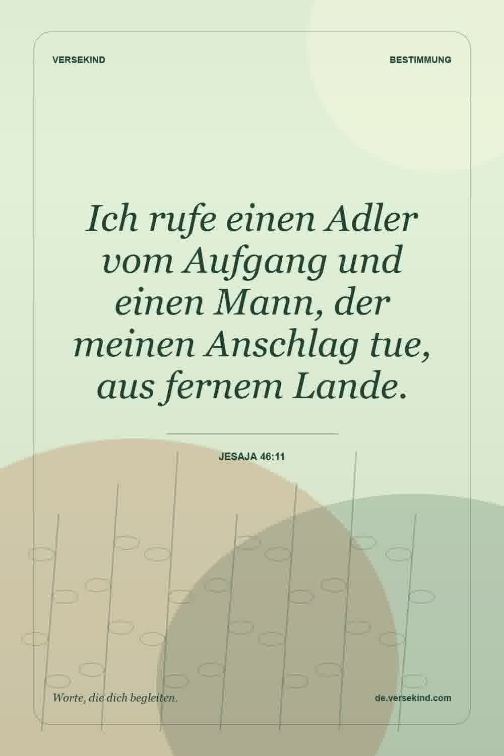 Ich rufe einen Adler vom Aufgang und einen Mann, der meinen Anschlag tue, aus fernem Lande. — Jesaja 46:11