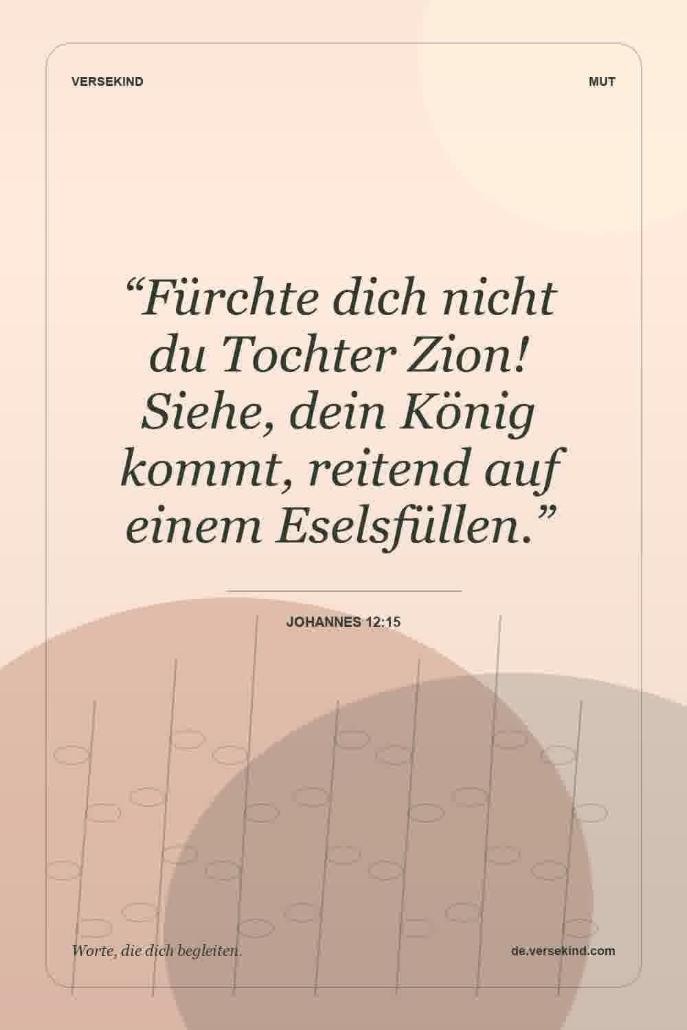 “Fürchte dich nicht du Tochter Zion! Siehe, dein König kommt, reitend auf einem Eselsfüllen.” — Johannes 12:15