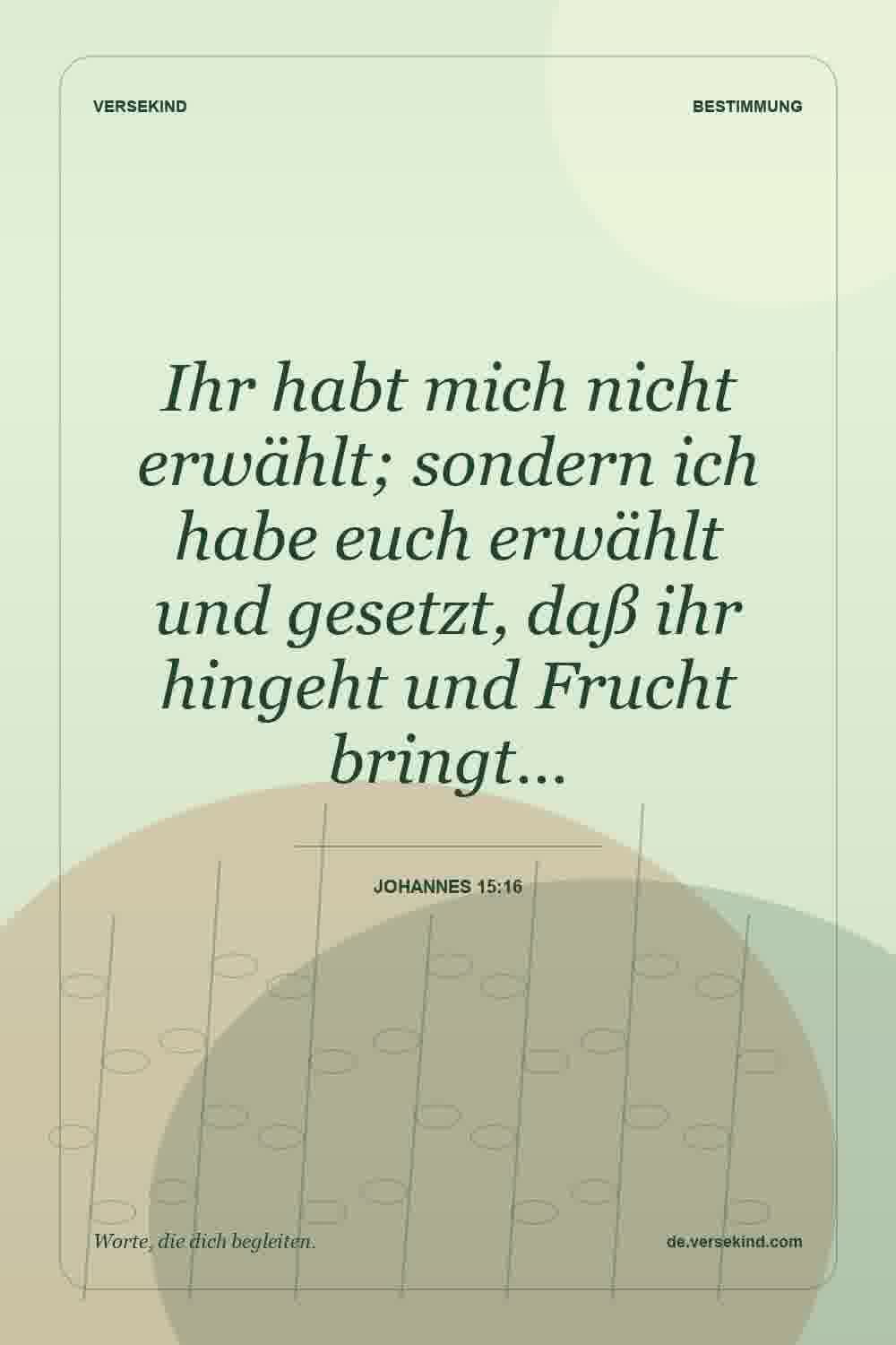 Ihr habt mich nicht erwählt; sondern ich habe euch erwählt und gesetzt, daß ihr hingeht und Frucht bringt… — Johannes 15:16
