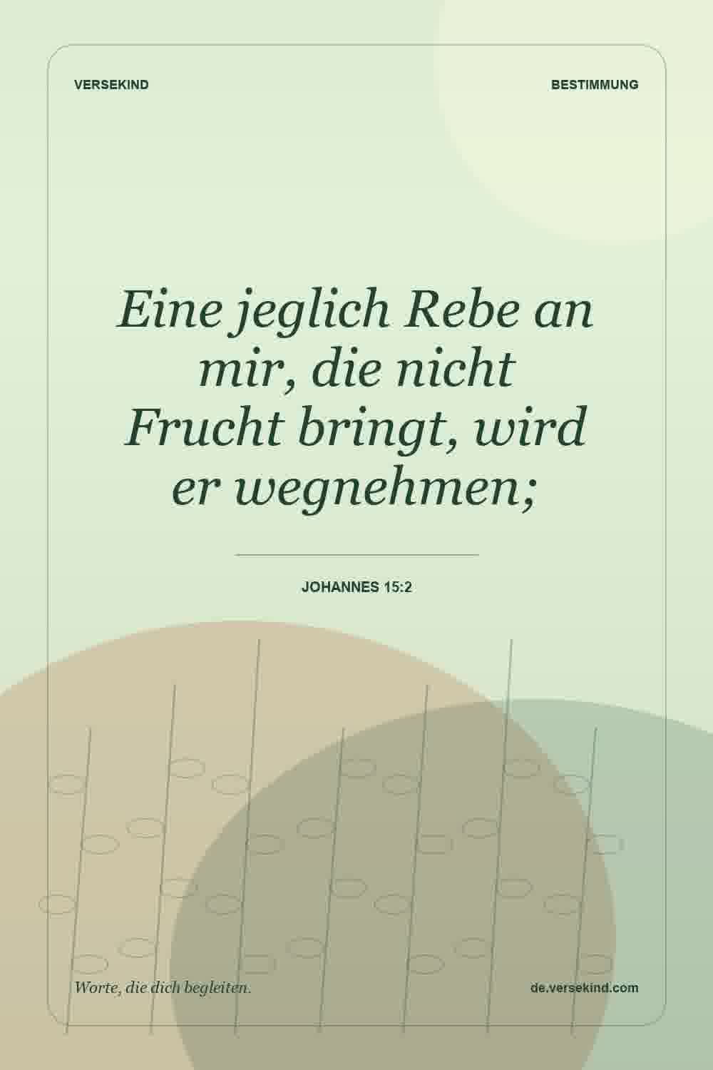 Eine jeglich Rebe an mir, die nicht Frucht bringt, wird er wegnehmen; — Johannes 15:2