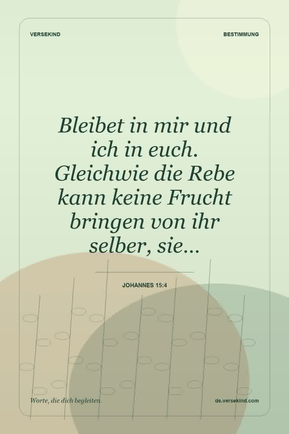 Bleibet in mir und ich in euch. Gleichwie die Rebe kann keine Frucht bringen von ihr selber, sie… — Johannes 15:4