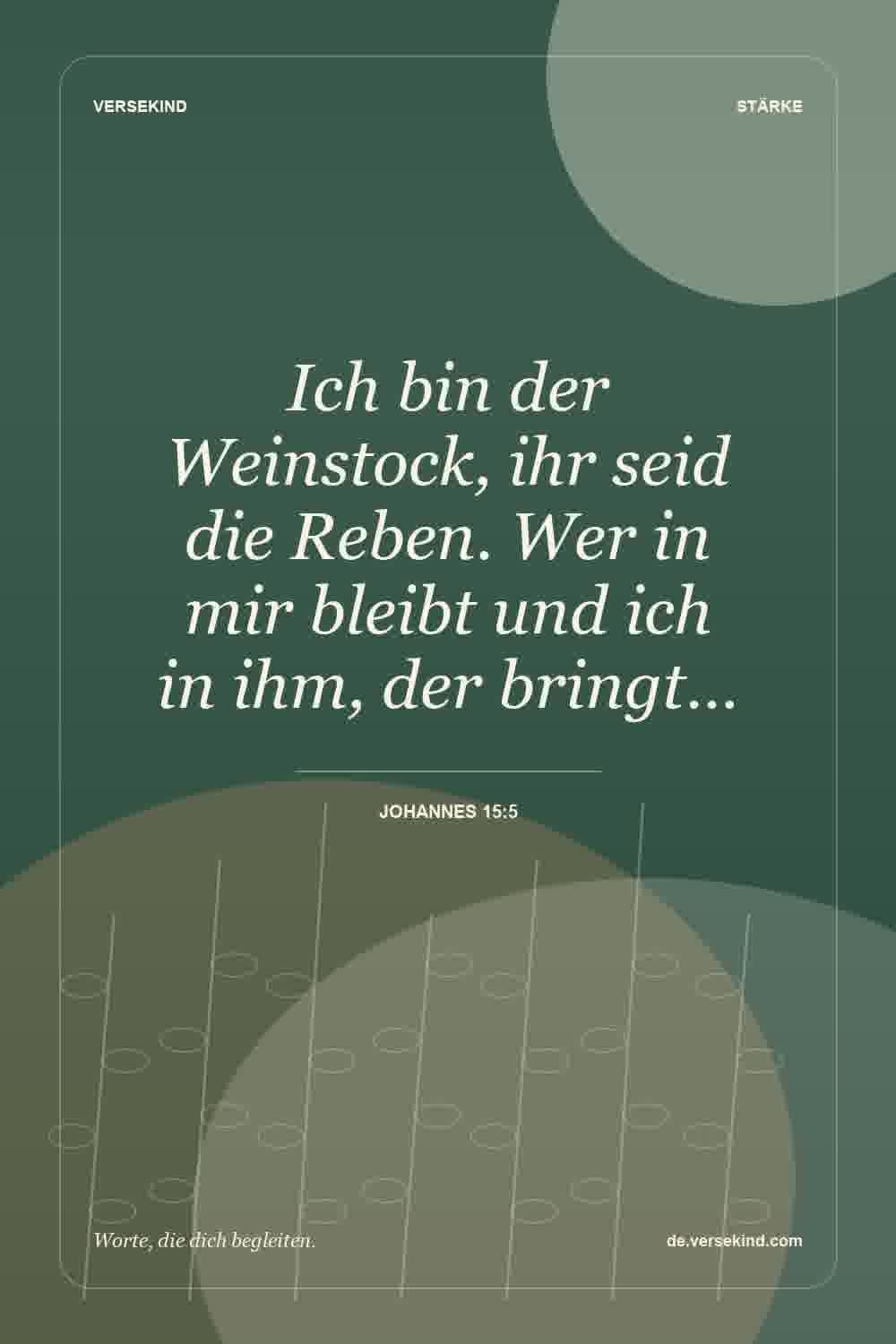 Ich bin der Weinstock, ihr seid die Reben. Wer in mir bleibt und ich in ihm, der bringt… — Johannes 15:5