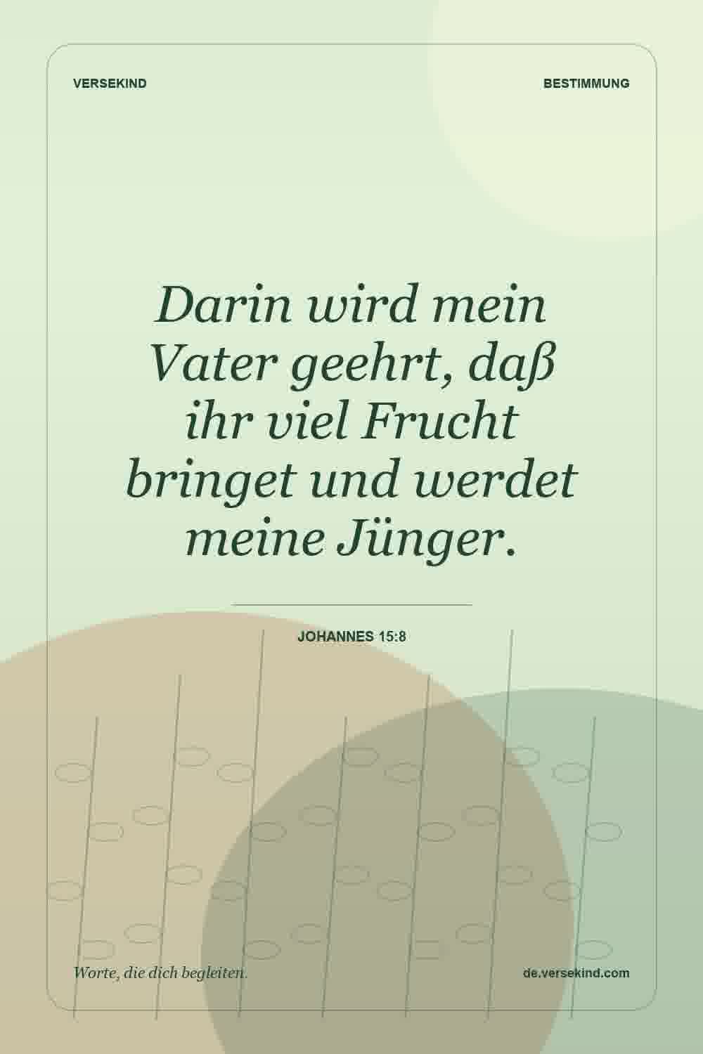 Darin wird mein Vater geehrt, daß ihr viel Frucht bringet und werdet meine Jünger. — Johannes 15:8