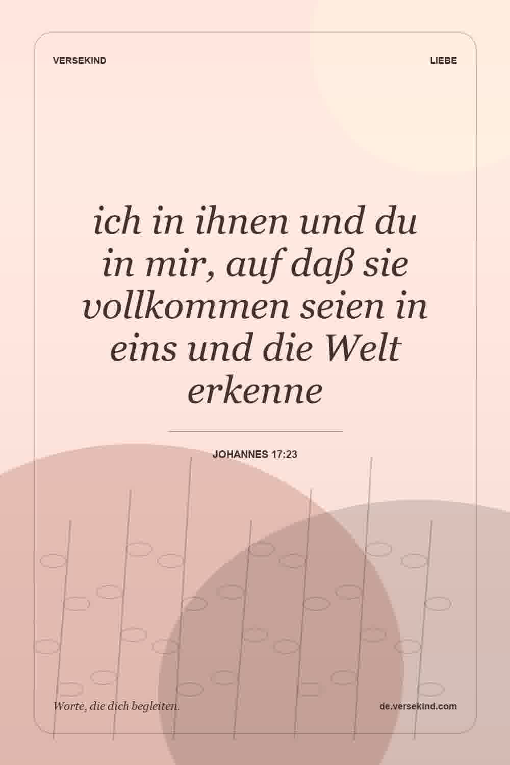 ich in ihnen und du in mir, auf daß sie vollkommen seien in eins und die Welt erkenne — Johannes 17:23