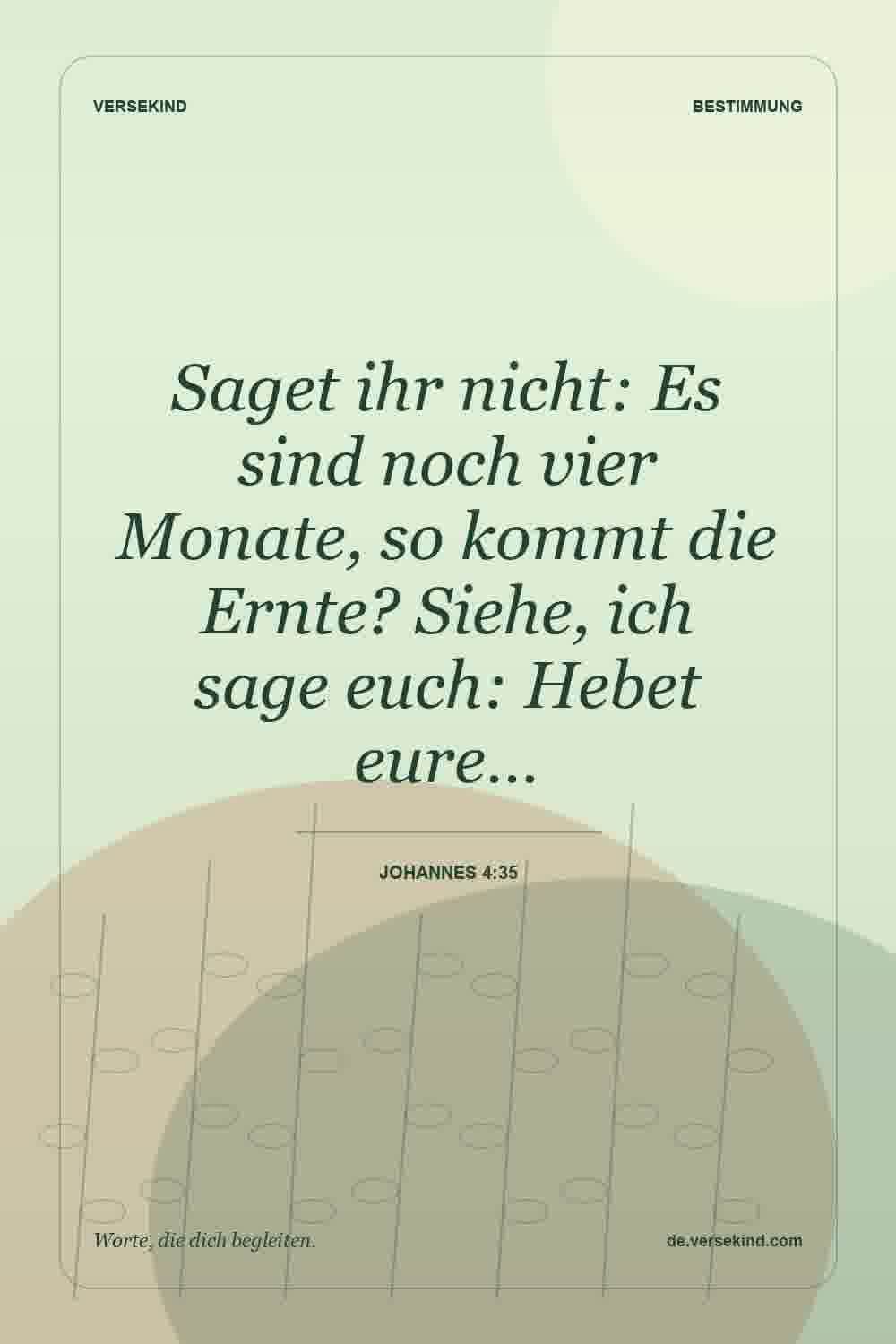 Saget ihr nicht: Es sind noch vier Monate, so kommt die Ernte? Siehe, ich sage euch: Hebet eure… — Johannes 4:35