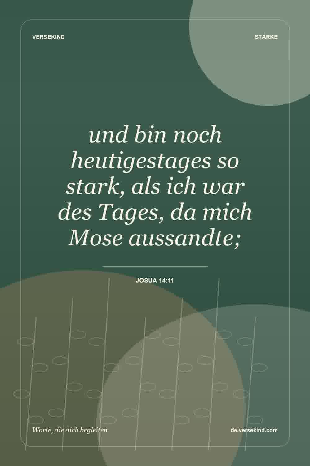 und bin noch heutigestages so stark, als ich war des Tages, da mich Mose aussandte; — Josua 14:11