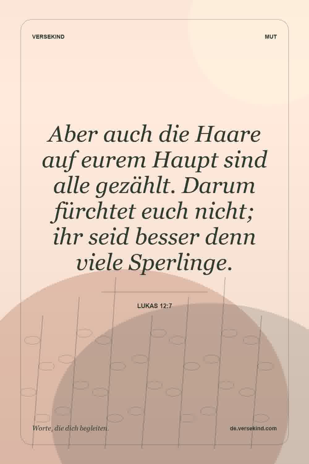 Aber auch die Haare auf eurem Haupt sind alle gezählt. Darum fürchtet euch nicht; ihr seid besser denn viele Sperlinge. — Lukas 12:7