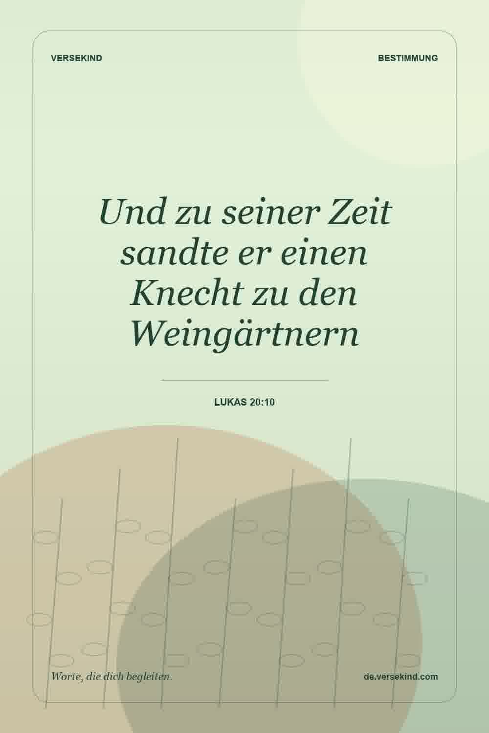 Und zu seiner Zeit sandte er einen Knecht zu den Weingärtnern — Lukas 20:10