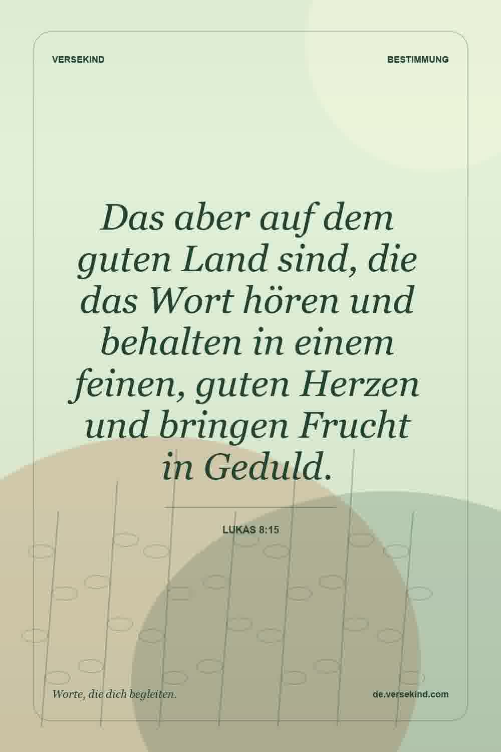 Das aber auf dem guten Land sind, die das Wort hören und behalten in einem feinen, guten Herzen und bringen Frucht in Geduld. — Lukas 8:15