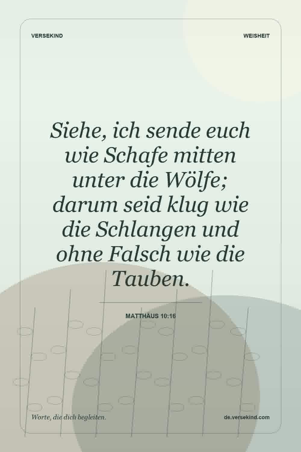 Siehe, ich sende euch wie Schafe mitten unter die Wölfe; darum seid klug wie die Schlangen und ohne Falsch wie die Tauben. — Matthäus 10:16