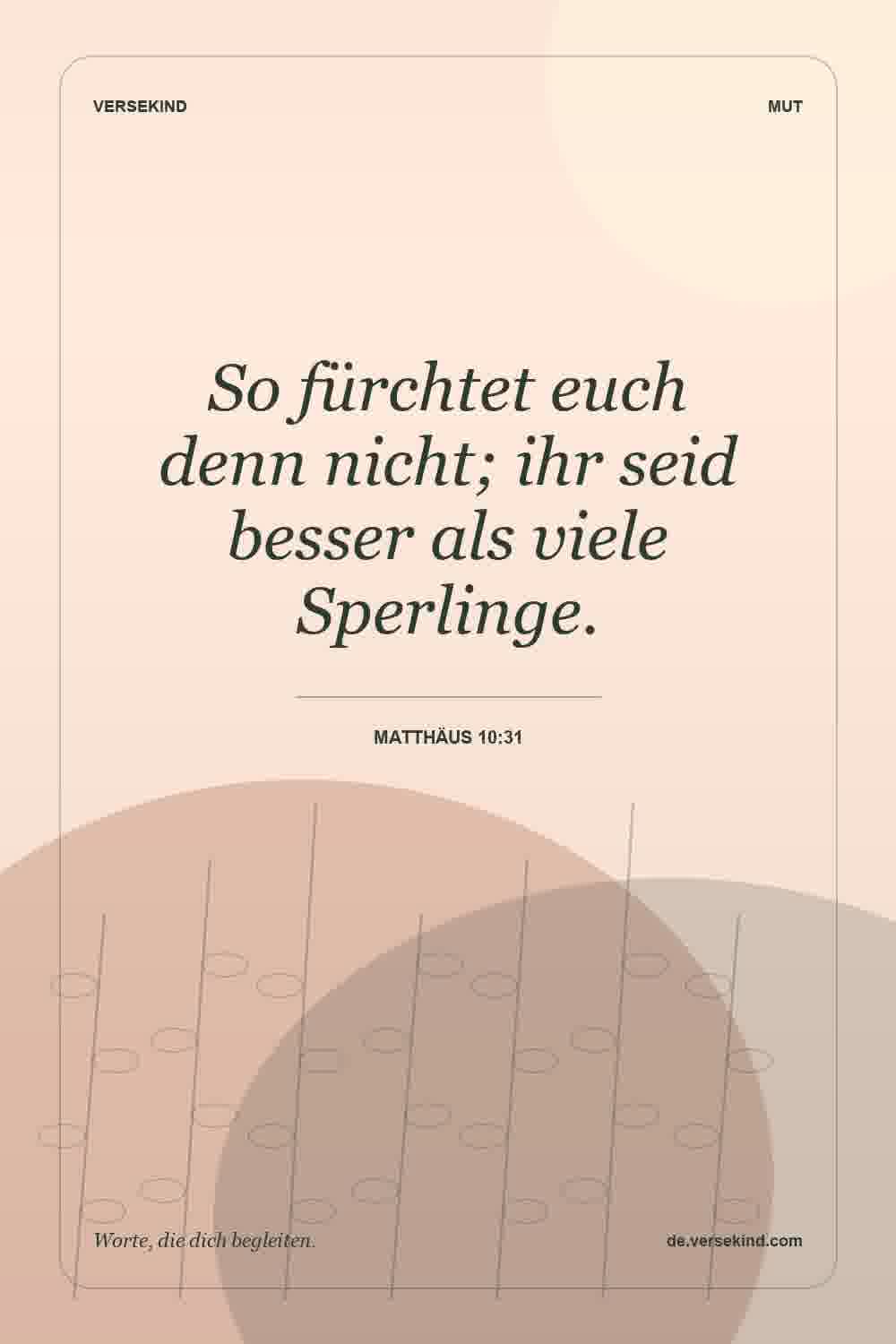 So fürchtet euch denn nicht; ihr seid besser als viele Sperlinge. — Matthäus 10:31