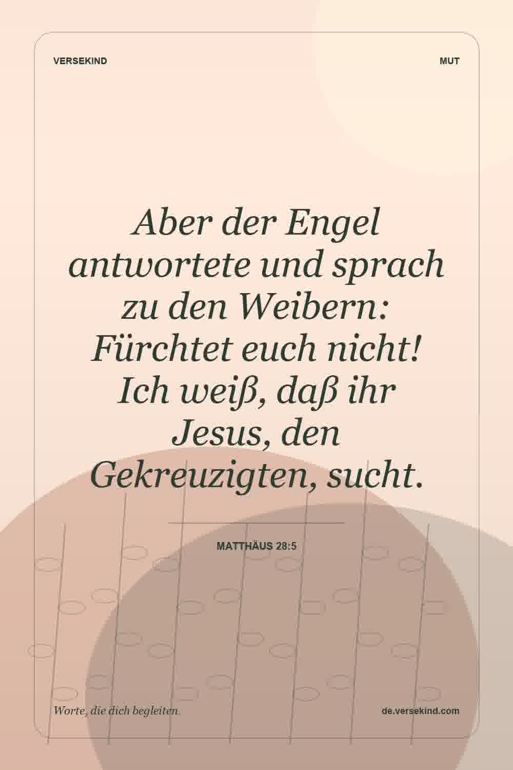 Aber der Engel antwortete und sprach zu den Weibern: Fürchtet euch nicht! Ich weiß, daß ihr Jesus, den Gekreuzigten, sucht. — Matthäus 28:5
