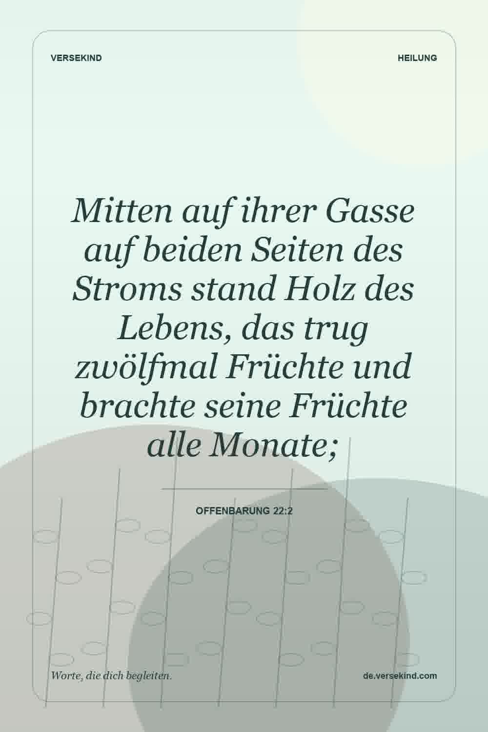 Mitten auf ihrer Gasse auf beiden Seiten des Stroms stand Holz des Lebens, das trug zwölfmal Früchte und brachte seine Früchte alle Monate; — Offenbarung 22:2