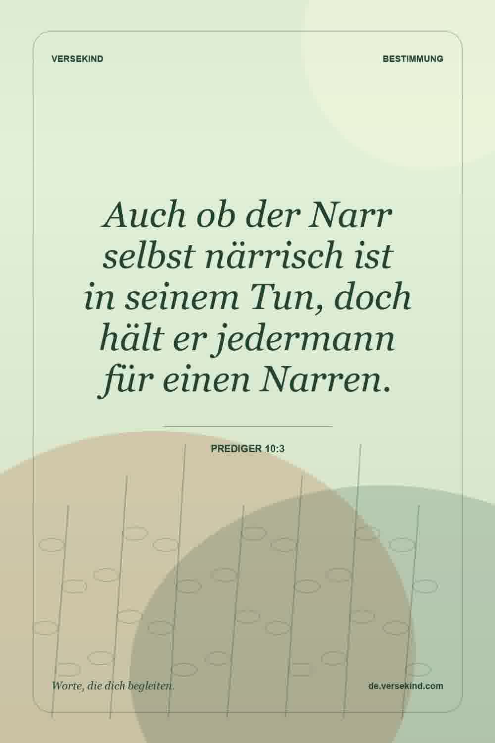 Auch ob der Narr selbst närrisch ist in seinem Tun, doch hält er jedermann für einen Narren. — Prediger 10:3