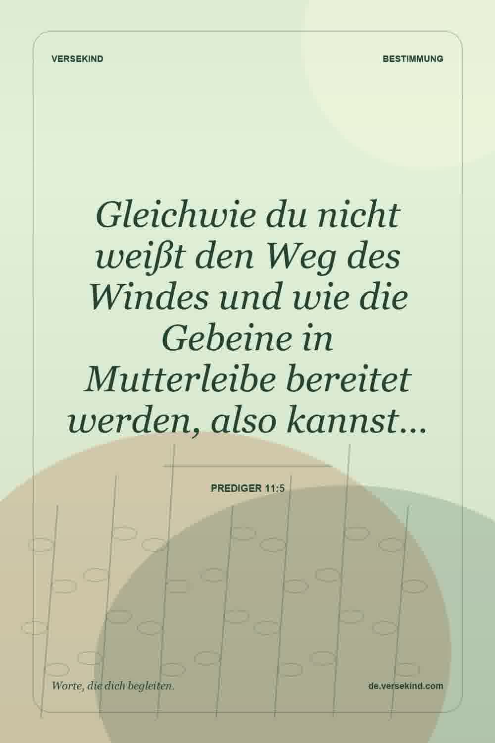 Gleichwie du nicht weißt den Weg des Windes und wie die Gebeine in Mutterleibe bereitet werden, also kannst… — Prediger 11:5