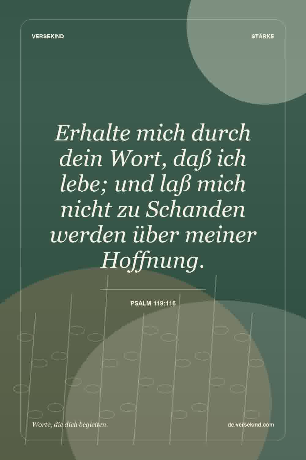 Erhalte mich durch dein Wort, daß ich lebe; und laß mich nicht zu Schanden werden über meiner Hoffnung. — Psalm 119:116