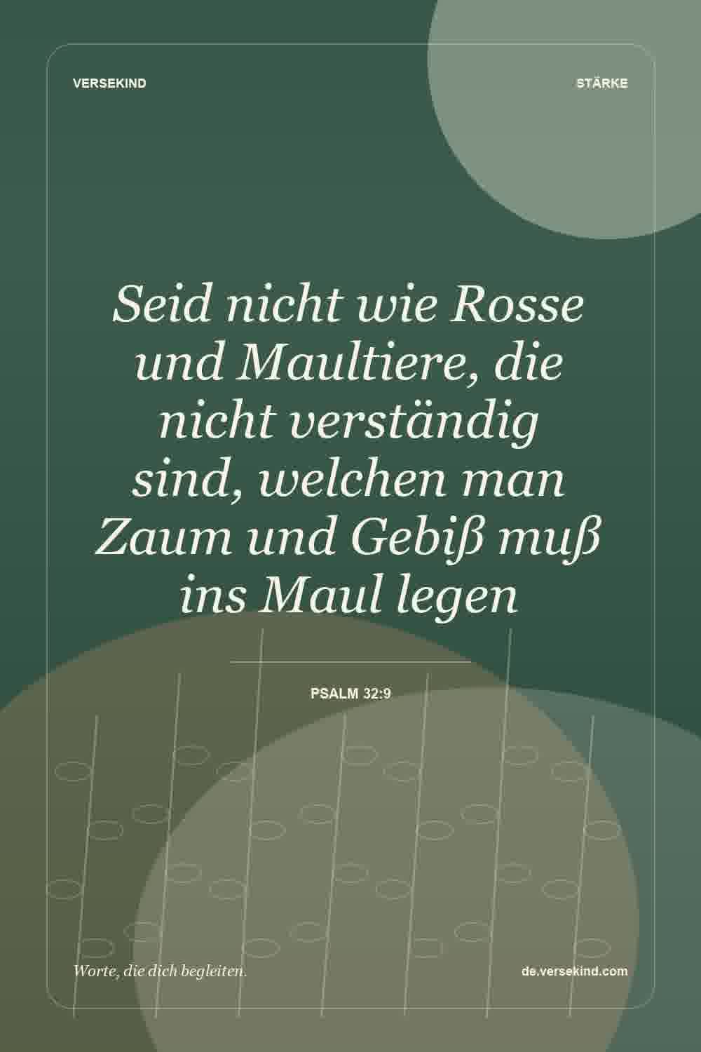 Seid nicht wie Rosse und Maultiere, die nicht verständig sind, welchen man Zaum und Gebiß muß ins Maul legen — Psalm 32:9