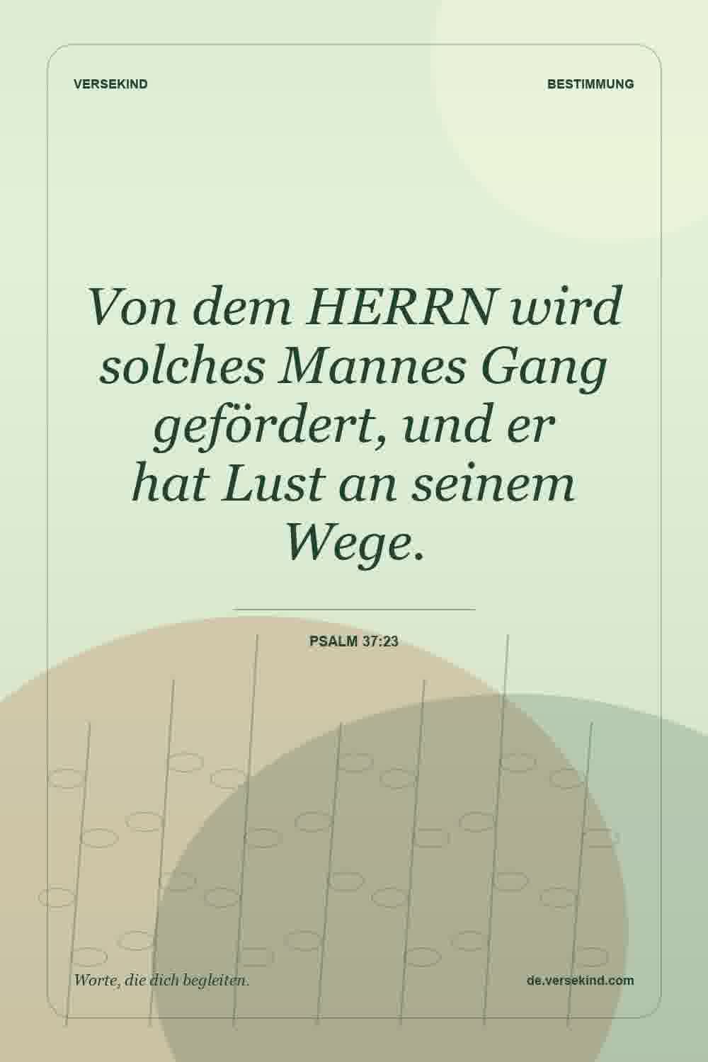 Von dem HERRN wird solches Mannes Gang gefördert, und er hat Lust an seinem Wege. — Psalm 37:23
