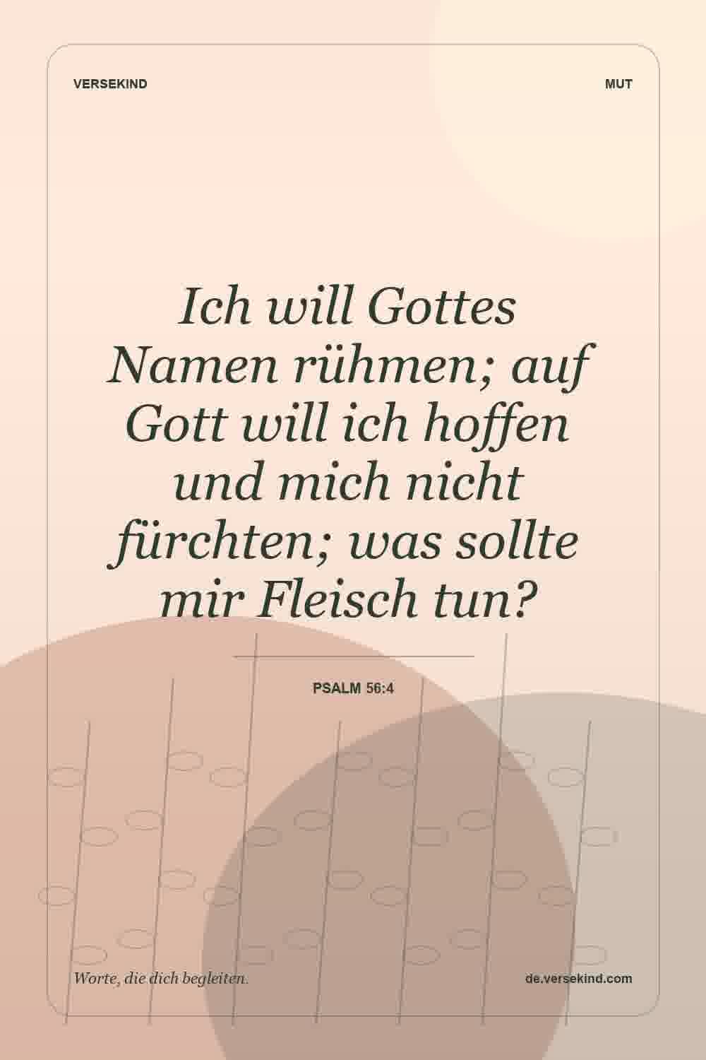 Ich will Gottes Namen rühmen; auf Gott will ich hoffen und mich nicht fürchten; was sollte mir Fleisch tun? — Psalm 56:4