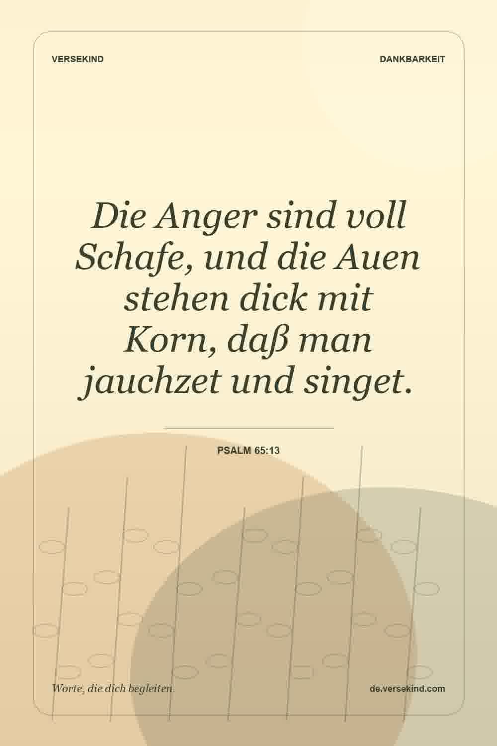 Die Anger sind voll Schafe, und die Auen stehen dick mit Korn, daß man jauchzet und singet. — Psalm 65:13
