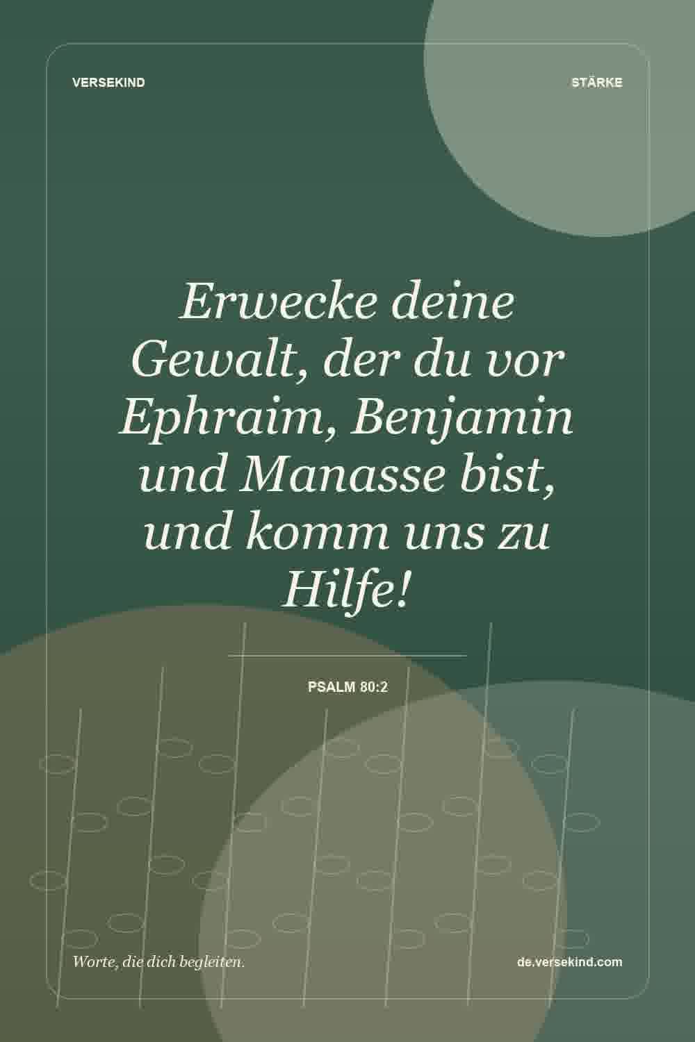 Erwecke deine Gewalt, der du vor Ephraim, Benjamin und Manasse bist, und komm uns zu Hilfe! — Psalm 80:2